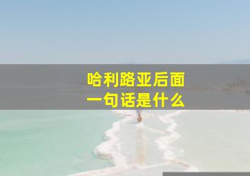 哈利路亚后面一句话是什么