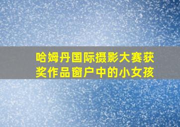 哈姆丹国际摄影大赛获奖作品窗户中的小女孩