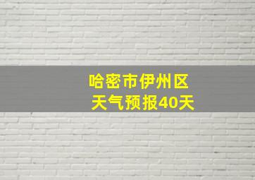 哈密市伊州区天气预报40天