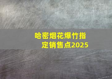 哈密烟花爆竹指定销售点2025