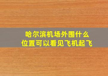 哈尔滨机场外围什么位置可以看见飞机起飞