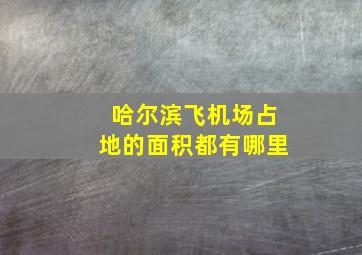 哈尔滨飞机场占地的面积都有哪里