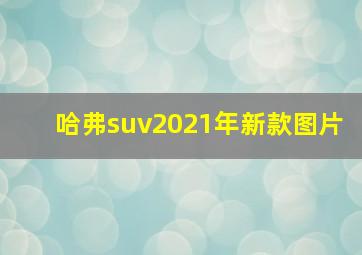 哈弗suv2021年新款图片