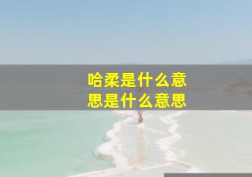 哈柔是什么意思是什么意思