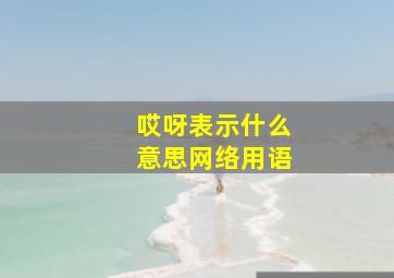 哎呀表示什么意思网络用语