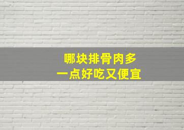 哪块排骨肉多一点好吃又便宜