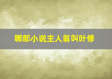 哪部小说主人翁叫叶修