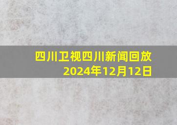 四川卫视四川新闻回放2024年12月12日