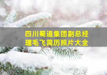 四川蜀道集团副总经理毛飞简历照片大全