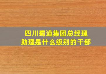 四川蜀道集团总经理助理是什么级别的干部