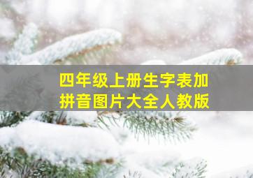 四年级上册生字表加拼音图片大全人教版