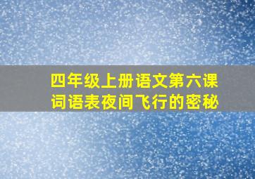 四年级上册语文第六课词语表夜间飞行的密秘