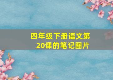 四年级下册语文第20课的笔记图片