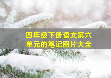 四年级下册语文第六单元的笔记图片大全