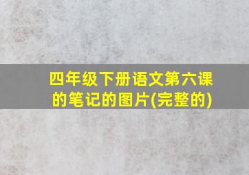 四年级下册语文第六课的笔记的图片(完整的)