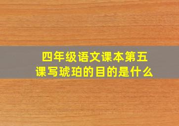 四年级语文课本第五课写琥珀的目的是什么