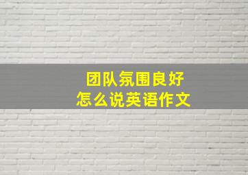 团队氛围良好怎么说英语作文