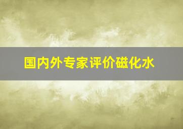 国内外专家评价磁化水