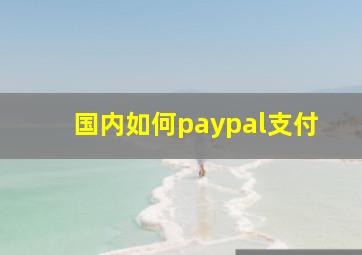 国内如何paypal支付