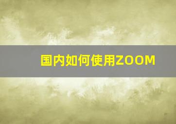 国内如何使用ZOOM