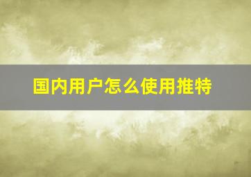 国内用户怎么使用推特