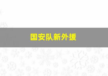 国安队新外援