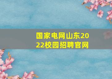 国家电网山东2022校园招聘官网