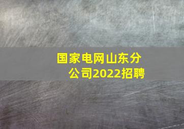 国家电网山东分公司2022招聘