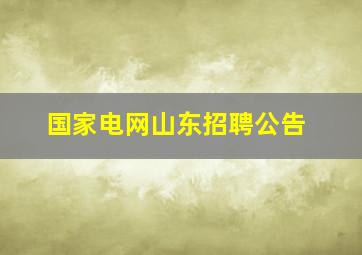 国家电网山东招聘公告