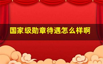 国家级勋章待遇怎么样啊