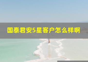 国泰君安5星客户怎么样啊