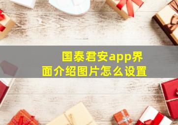 国泰君安app界面介绍图片怎么设置