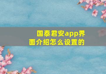 国泰君安app界面介绍怎么设置的