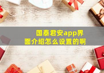 国泰君安app界面介绍怎么设置的啊