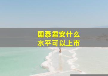 国泰君安什么水平可以上市