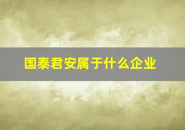 国泰君安属于什么企业