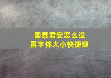 国泰君安怎么设置字体大小快捷键