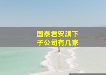 国泰君安旗下子公司有几家