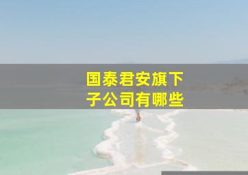 国泰君安旗下子公司有哪些