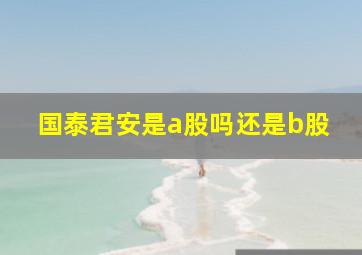 国泰君安是a股吗还是b股