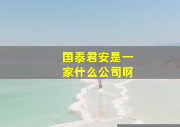 国泰君安是一家什么公司啊