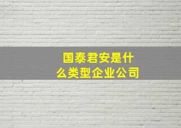 国泰君安是什么类型企业公司