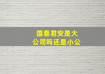 国泰君安是大公司吗还是小公