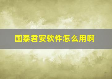 国泰君安软件怎么用啊