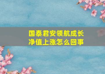 国泰君安领航成长净值上涨怎么回事