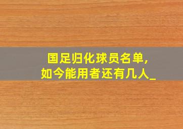 国足归化球员名单,如今能用者还有几人_