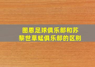 图恩足球俱乐部和苏黎世草蜢俱乐部的区别