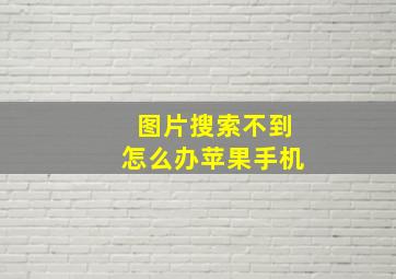 图片搜索不到怎么办苹果手机