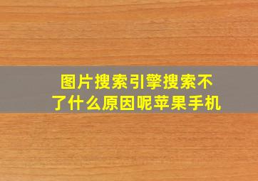 图片搜索引擎搜索不了什么原因呢苹果手机