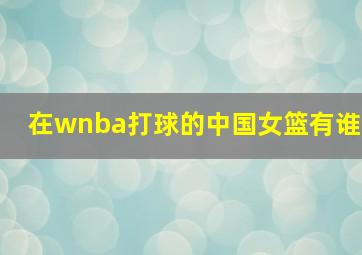 在wnba打球的中国女篮有谁